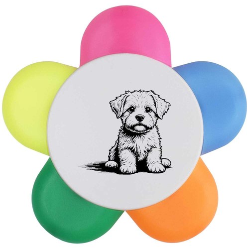 Maltese puppy sitting flower - 'maltese,