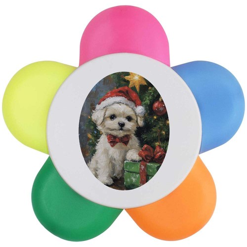 Cute christmas maltese puppy - maltese, puppy'