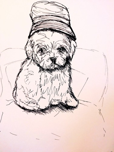 Maltese puppy bucket hat pen - puppy,